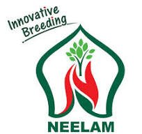 Neelam seeds